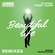 Beautiful Life (Radio Edit) Descargar