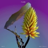 Flume - Say It Descarga gratuita de tonos de llamada