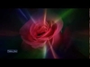 Leo Rojas - The Rose Descarga gratuita de tonos de llamada