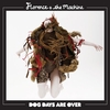 Florence + The Machine - Dog Days Are Over Descarga gratuita de tonos de llamada