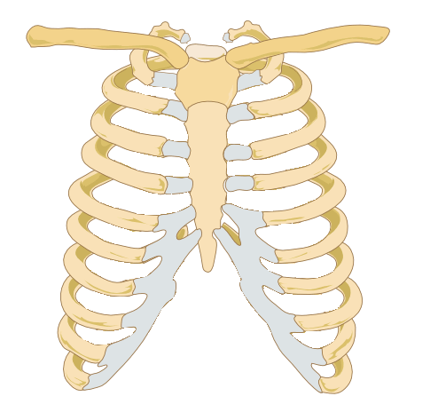 Bones - Ribs Descarga gratuita de tonos de llamada