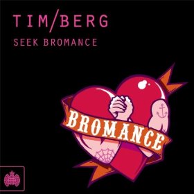 Seek Bromance (Avicii's Vocal Edit) Descargar gratis