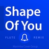 Ringtone - Shape Of You Descarga gratuita de tonos de llamada