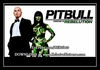 Pitbull - Both Die Right Now Descarga gratuita de tonos de llamada