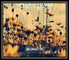 Bsod - Last Life (Original Mix) Descarga gratuita de tonos de llamada