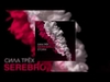 SEREBRO Feat. MOLLY - My Money Descarga gratuita de tonos de llamada