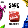 Sage The Gemini - Now Or Later Descarga gratuita de tonos de llamada