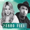 Shakira - Perro Fiel Descarga gratuita de tonos de llamada