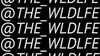 The Wldlfe - Momma Told Me Descarga gratuita de tonos de llamada