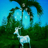 Sofi Tukker - Drinkee Descarga gratuita de tonos de llamada