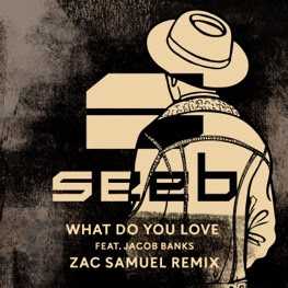 What Do You Love (Original Mix) Descargar gratis