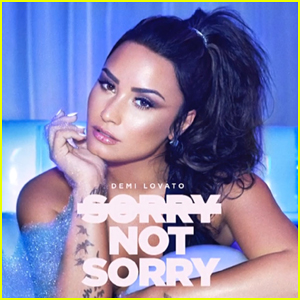 Sorry Not Sorry Descargar gratis