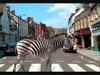 Scooter - Zebras Crossing The Street Descarga gratuita de tonos de llamada