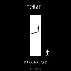 Missing You (Original Mix) Descargar gratis