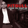 Pitbull - I Know You Want Me 2009 Descarga gratuita de tonos de llamada