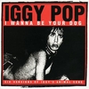 Iggy Pop - I Wanna Be Your Dog Descarga gratuita de tonos de llamada