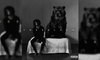 6LACK - Free Descarga gratuita de tonos de llamada