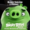 Blake Shelton - Friends Descarga gratuita de tonos de llamada