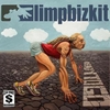 Limp Bizkit - Ready To Go Descarga gratuita de tonos de llamada