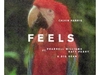 Calvin Harris - Feels Descarga gratuita de tonos de llamada