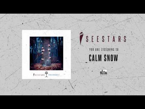 Calm Snow Descargar gratis