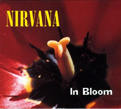 In Bloom Descargar gratis