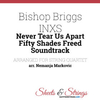 Bishop Briggs - Never Tear Us Apart Descarga gratuita de tonos de llamada