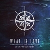 Lost Frequencies - What Is Love 2016 Descarga gratuita de tonos de llamada