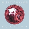 Milky Chance - Blossom Descarga gratuita de tonos de llamada