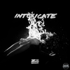 ZHU - Intoxicate Intoxicate Descarga gratuita de tonos de llamada