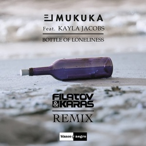 Bottle Of Loneliness (Filatov & Karas Remix Extended) Descargar gratis