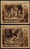 Shanguy - King Of The Jungle Descarga gratuita de tonos de llamada