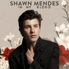 Shawn Mendes - In My Blood Descarga gratuita de tonos de llamada