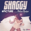 Shaggy Feat. Melissa Musique - #Picture Descarga gratuita de tonos de llamada