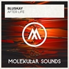 BluSkay - After Life Descarga gratuita de tonos de llamada