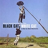 VA 'Black Cat White Cat' - Tree Stump Descarga gratuita de tonos de llamada