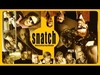 Snatch - Golden Brown Descarga gratuita de tonos de llamada