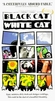 Black Cat White Cat Descargar