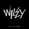 Wiley - Can't Go Wrong Descarga gratuita de tonos de llamada