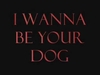 I Wanna Be Your Dog Descarga gratuita de tonos de llamada