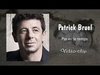 Patrick Bruel - Pas Eu Le Temps Descarga gratuita de tonos de llamada