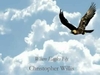 Christopher Willis - Where Eagles Fly Descarga gratuita de tonos de llamada