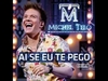 Michel Telo - Ai Se Eu Te Pego Descarga gratuita de tonos de llamada