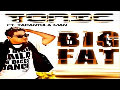 Big Fat (Radio Edit) Descargar gratis