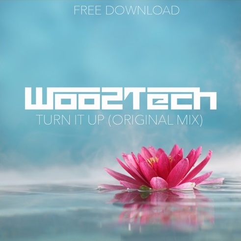 Turn It Up (Original Mix) Descargar gratis