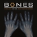 Bones Theme Descargar