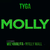 Tyga - Molly Descarga gratuita de tonos de llamada