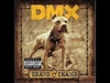 DMX - The Rain Descarga gratuita de tonos de llamada